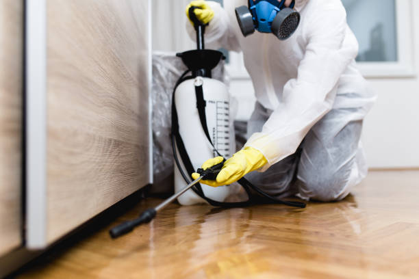 Best Best Pest Control Companies  in Hudson, WI