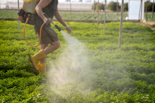 Professional Pest Control in Hudson, WI