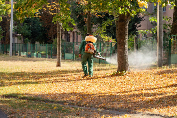 Best Exterminator Services  in Hudson, WI
